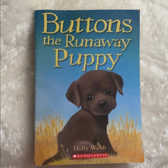 Scholastic buttons the runaway Puppy book